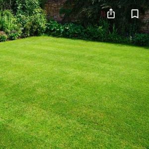 Meet your Posher, Travis